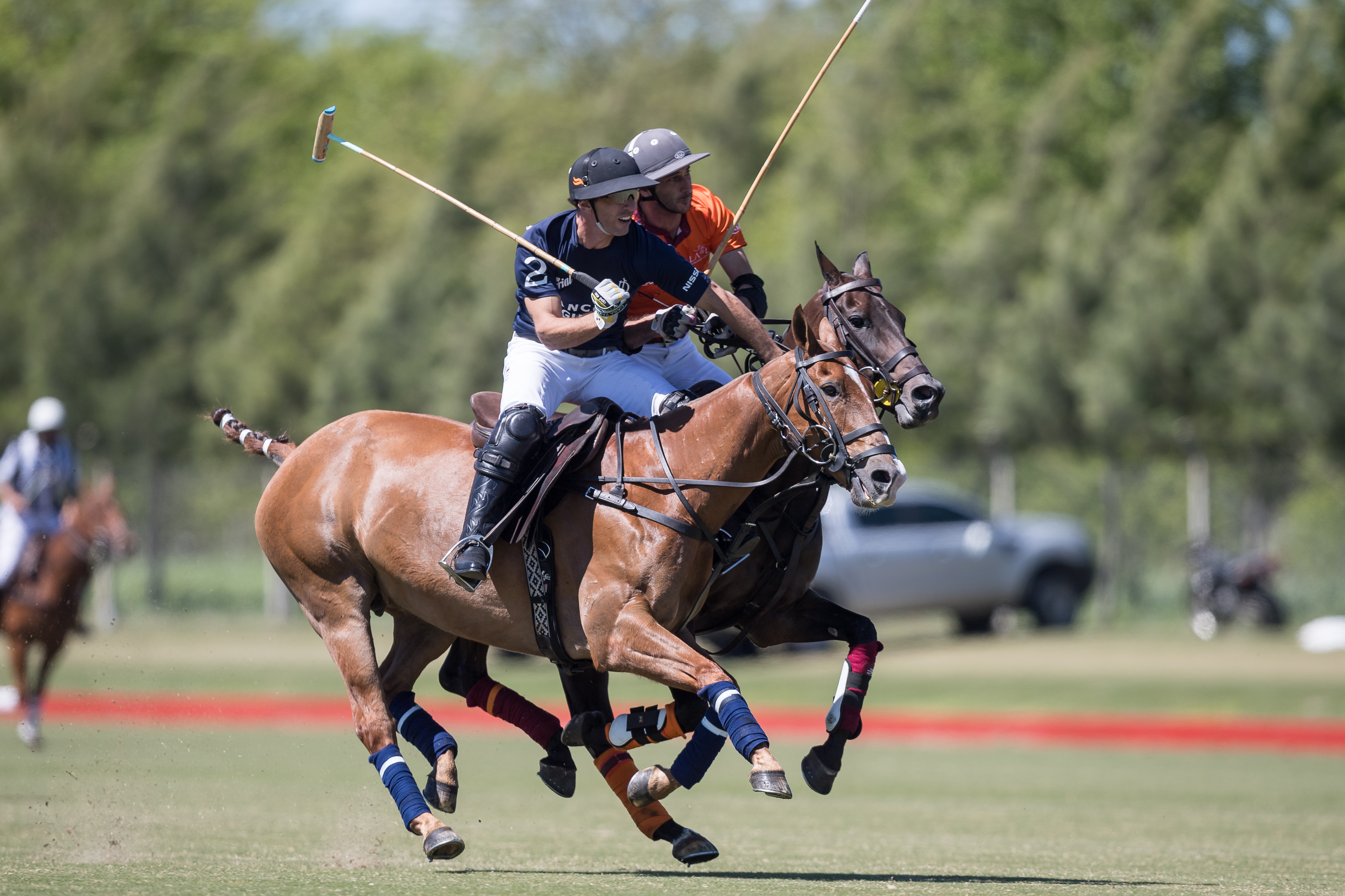 Polo experience in Argentina