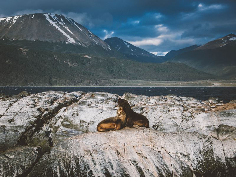 Argentina Destinations